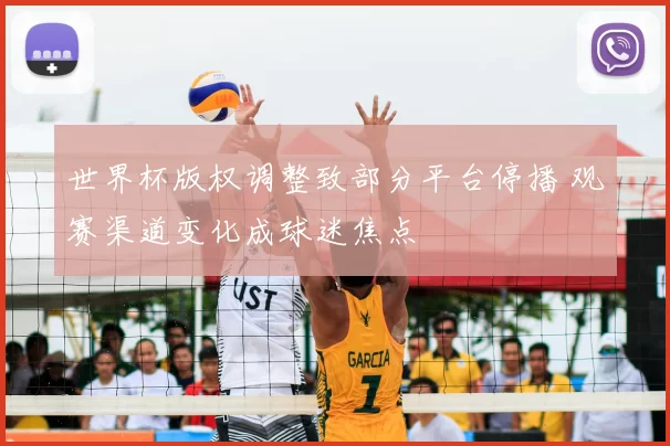 世界杯版权调整致部分平台停播 观赛渠道变化成球迷焦点