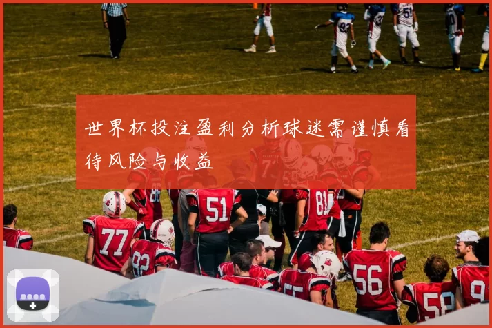 世界杯投注盈利分析球迷需谨慎看待风险与收益