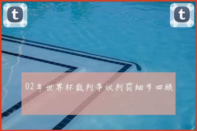02年世界杯裁判争议判罚细节回顾