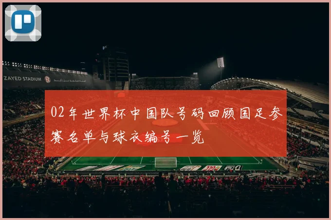 02年世界杯中国队号码回顾国足参赛名单与球衣编号一览